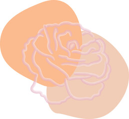 Watercolor brush hand drawn rose illustration.