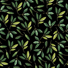 Delicate watercolor seamless pattern with olive tree branches on black background.