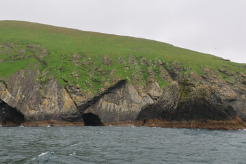 UNESCO Naturerbe Vogelinsel BORERAY, St. Kilda, Schottland