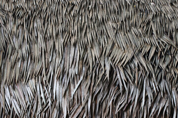 Patterns and Textures of Spiky Wood. thorn pattern background.