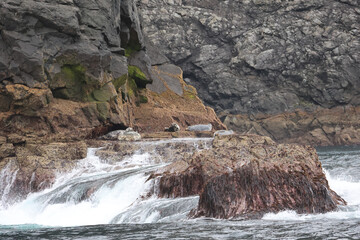 UNESCO Naturerbe Vogelinsel BORERAY, St. Kilda, Schottland