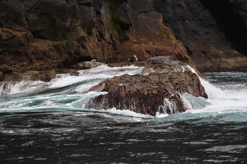 UNESCO Naturerbe Vogelinsel BORERAY, St. Kilda, Schottland