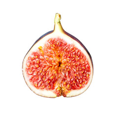 Fresh fig fruit slice isolated