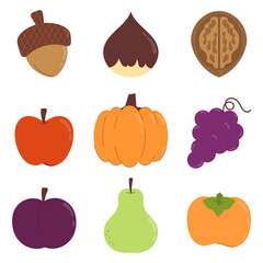Vector illustrations of autumn harvest objects. Fruits and nuts that harvesting in autumn: acorn, chestnut, walnut, apple, pumpkin, grape, plum, pear, and persimmon