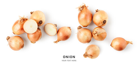Onion bulbs creative layout and border.