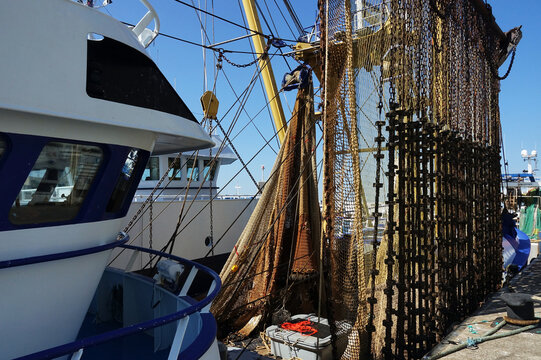 Netherland.  The fishing industry of IJmuiden