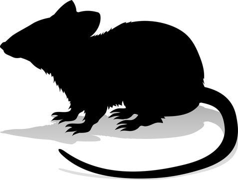 recommend clip art: Rat Rodent Animal Silhouette