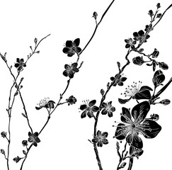 Naklejka premium Peach Cherry Blossom Flowers Background Pattern