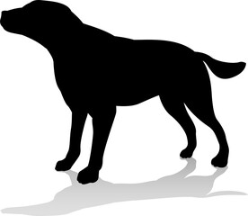 Dog Pet Animal Silhouette