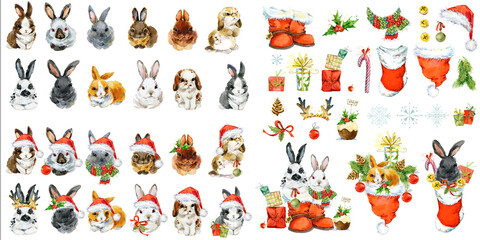 Year of the Rabbit. collection cute bunny with New Year decoration elements for creating design. watercolor illustration isolated on white