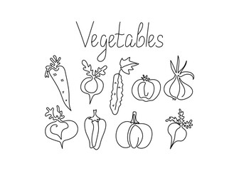 Vegetables in line art style. Set of vegetables. Lettering, inscription, text,. Drawings in one line. Vector graphics. Isolated background.