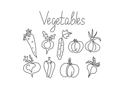 Vegetables in line art style. Set of vegetables. Lettering, inscription, text,. Drawings in one line. Vector graphics. Isolated background.