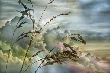 Obraz premium Wetterwechsel