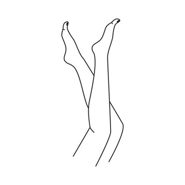 Woman legs, isolated female body part, barefoot feet of young character. Minimal shapes and femininity, simple drawing. Vector in flat style, outline linear art