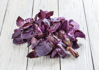 Fresh purple basil leaves on white wooden background
