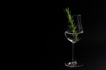 Tasty gin, glass of gin with green rosemary against black background. Low light photo shot. Copy space for your design. Web banner. 