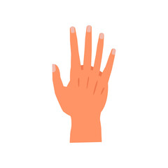 Human palm with fingers, isolated hand gestures. Non verbal communication and signs. Stop or greeting, waving arm during meeting. Vector in flat style