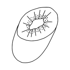 Kiwi in the Doodle section illustration.Contour drawing of a peach isolated on a white background.Tropical fruit.Hand drawing with a line.