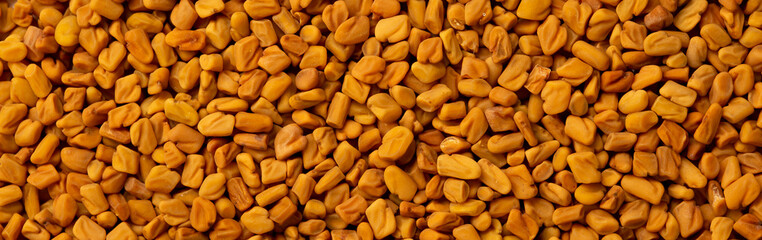 Fenugreek seeds, spices close-up as a background flat lay. Indian and Arabic spices for cooking. Medicinal herbs and condiment.