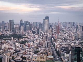 Naklejka na ściany i meble Panoramic sky view of the Tokyo skyline during a warm sunset