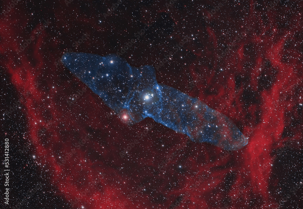 Wall mural the squid nebula (ou4) contained within the flying bat nebula (sh2-129)
