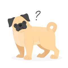 A pug dog with a question mark. Dog question. An uncomprehending dog with its head tilted. Pet illustration.