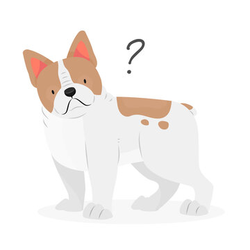 A french bulldog dog with a question mark. Dog question. An uncomprehending dog with its head tilted. Pet illustration.