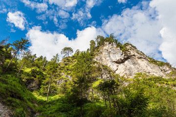 Die Almbachklamm im Berchtesgadener Land
