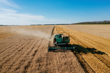 Combine harvester harvesting wheat at the field aerial view