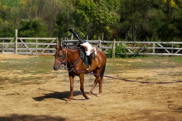 A girl rides a horse to master various elements of horseback riding.