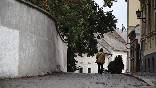 A Street In Szentendre,hungary Where Woman Walking Away From The Camera