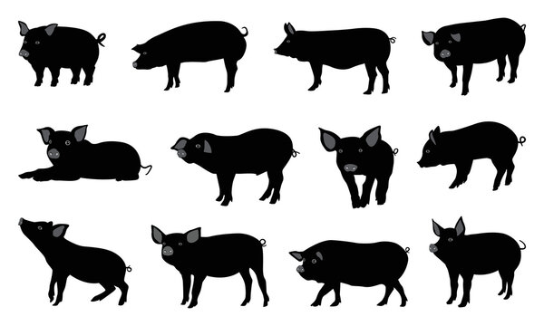 pig silhouette vector, pig silhouette icon isolated on white background. pig label isolated, black silhouette pig on white background, vector illustration.