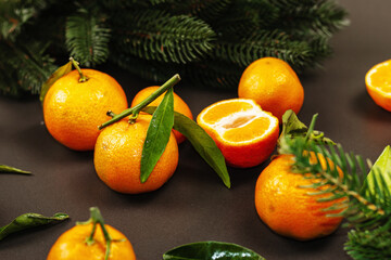 Tangerines (oranges, mandarins, clementines, citrus fruits) with leaves and fir tree branches