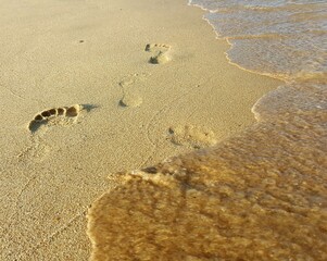 footprints in the sand