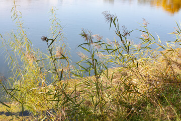 Lake in the city park, autumn, reflection in the water, beautiful buildings.