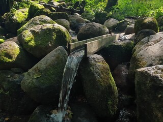 waterfall in the forest