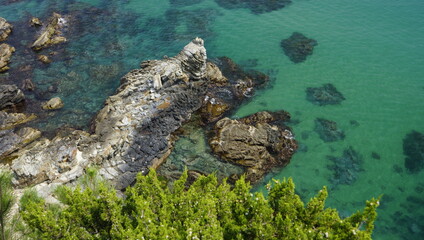 stones near the sea
