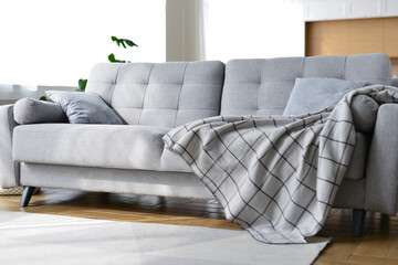 Living room interior with gray sofa