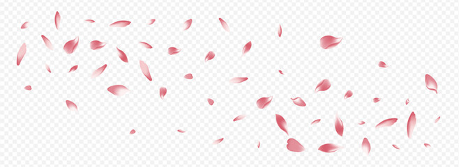 Pink Heart Vector Panoramic Transparent
