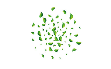 Green Greens Fresh Vector White Background.