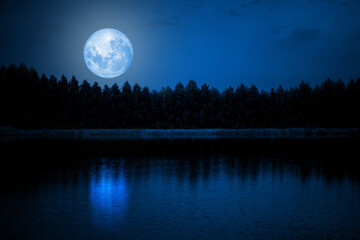 The blue sky at the full moon over the shadows of the trees by the river. calm nature background...
