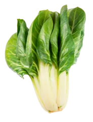 Türaufkleber Healthy vegetables - isolated fresh mangold plant © manfredxy