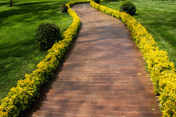 Hiking path for walking in view