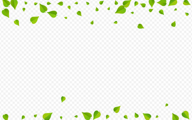 Green Leaf Flying Vector Transparent Background