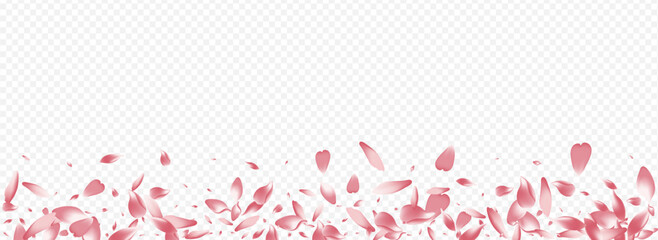 Bright Cherry Vector Panoramic Transparent