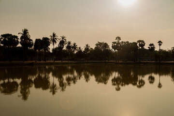 Landscape of palm trees reflected in the water of a pond in the Sukhothai Historical Park