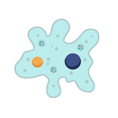 Amoeba cell. Small unicellular animal.