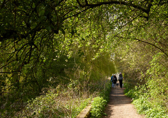 In April, a family group walking on a country path in Nottingham