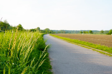 Asphalt Road panorama in the fields country side on sunny spring day