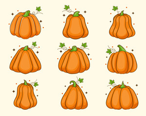 Cartoon pumpkins, halloween squash, fall harvest gourds. Autumn thanksgiving and halloween pumpkins collection 